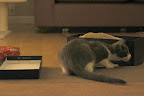 IMG_4583.JPG