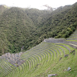 P5263236.JPG