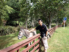 I found a Donkey! Eeee Oooo.