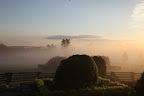 Look how misty it is all across the paddocks.