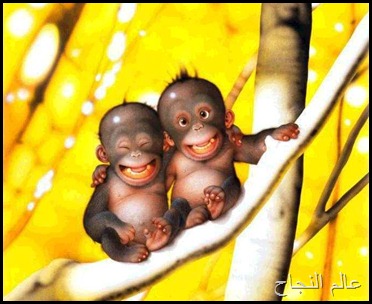 حيوانات صغيرة حيوانات صغيرة