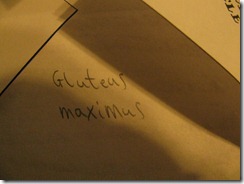 IMG_9365 IMG_9365