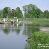 dsc06785.jpg
