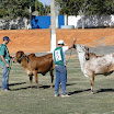 superleite2011_dia1507_104.JPG