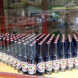 lager beer at the toshogu shrine in Nikko, Japan by Matt van Vuuren in Nikko, Totigi (Tochigi) , Japan