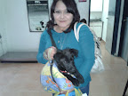 Ella es CEHUA una cachorrita que finalmente esta ya adoptada  gracias una mas en un hogar