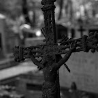 IMGP5779_bw.jpg IMGP5779_bw.jpg