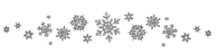 snowflake_divider snowflake_divider