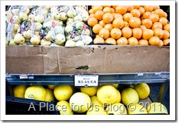 IMG_0934_2939