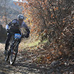 IMG_3773.JPG