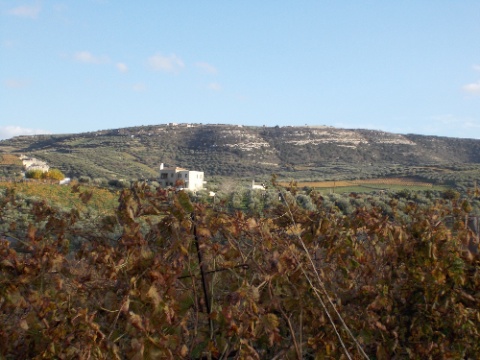 DSCN0303.jpg DSCN0303