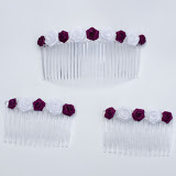 Haircombs and Clips