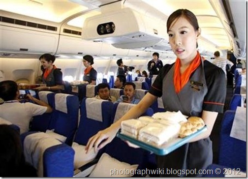 photograph wiki ladyboy flight attendants air hostess 10