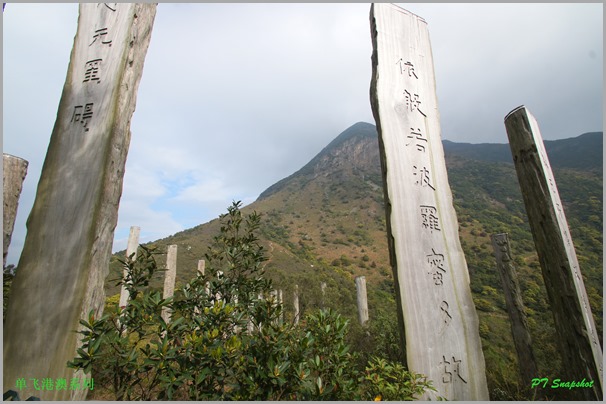 般若波罗密多心经 般若波罗密多心经