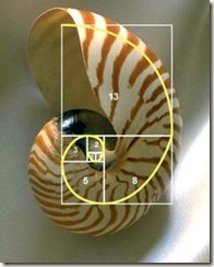Fibonacci03 Fibonacci03