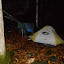 DSCN0585.JPG