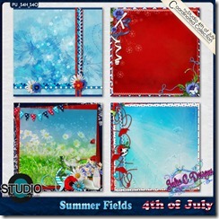 4th of July Coordinating Product