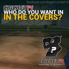 Cricket 14 Game එක ඕන කාටද? 