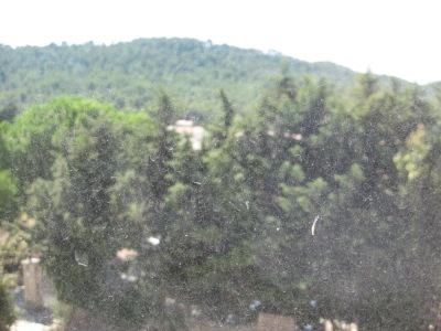 [1-1-ext-88.jpg]