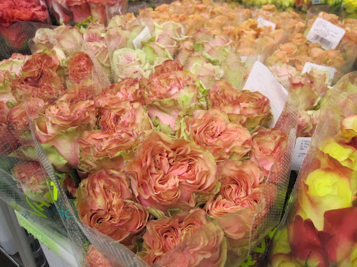 Dozens of colors of roses are in the store, but look closely at other details -- like the way the petals lay and the way the flower opens.