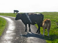 IMG_2589 IMG_2589