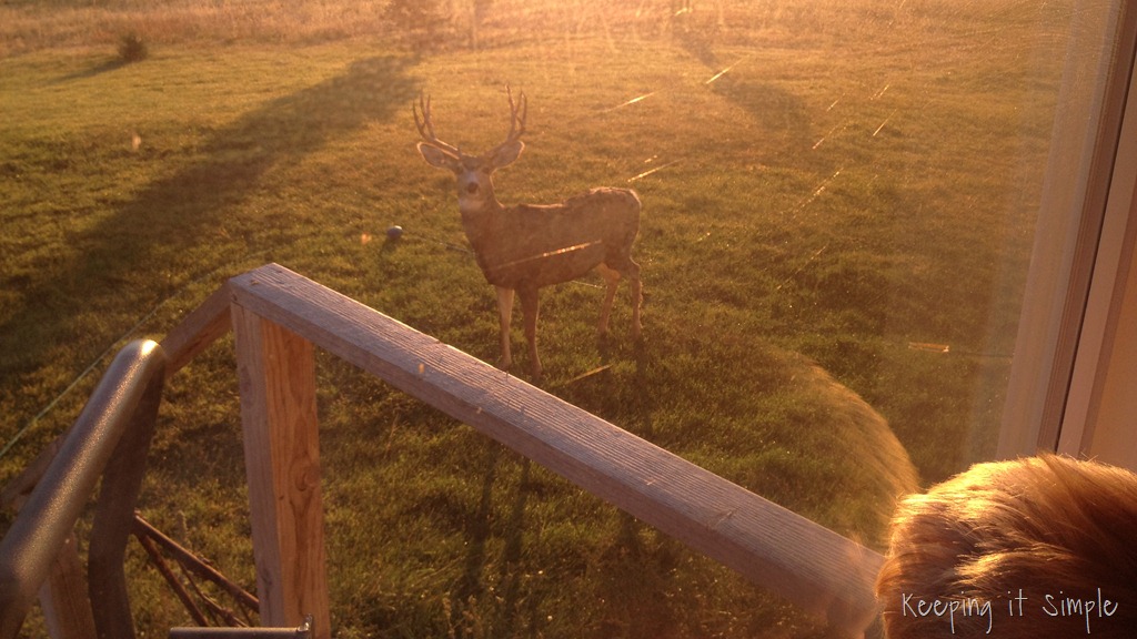 [photo%2520%252830%2529%255B9%255D.jpg]