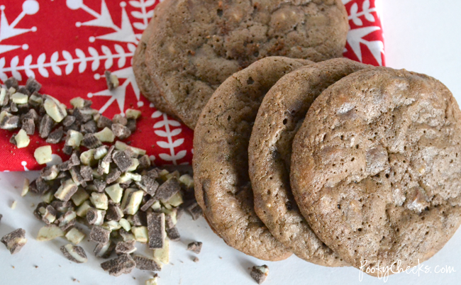 Double Rich Chocolate Mint Chip Cookie Recipe