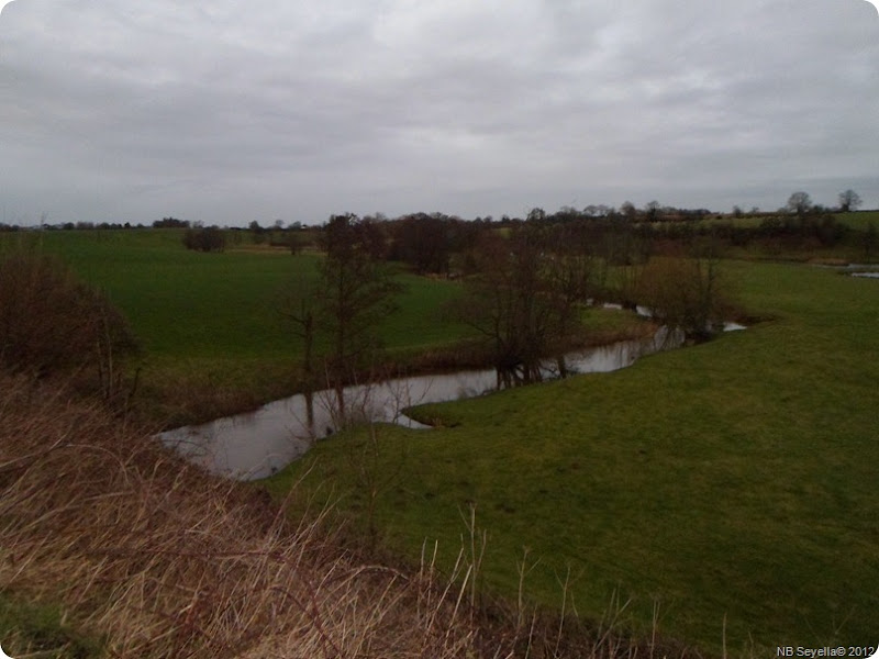 SAM_0029 River Weaver SAM_0029 River Weaver