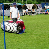 IMGP6958.JPG
