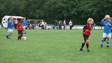 2011 - 10 JUN - WVV F4 TER APEL TOERNOOI 023.jpg