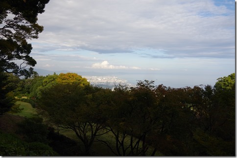 IMGP3207 IMGP3207