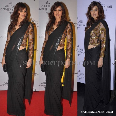 [Sonali_Bendre_Designer_Saree%255B3%255D.jpg]