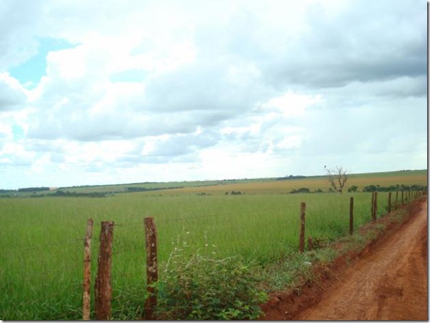 1268137904_79418835_1-Fotos-de--3-Alqueires-em-Bom-Jesus-GO 1268137904_79418835_1-Fotos-de--3-Alqueires-em-Bom-Jesus-GO