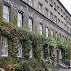 DSC_8458-2.jpg