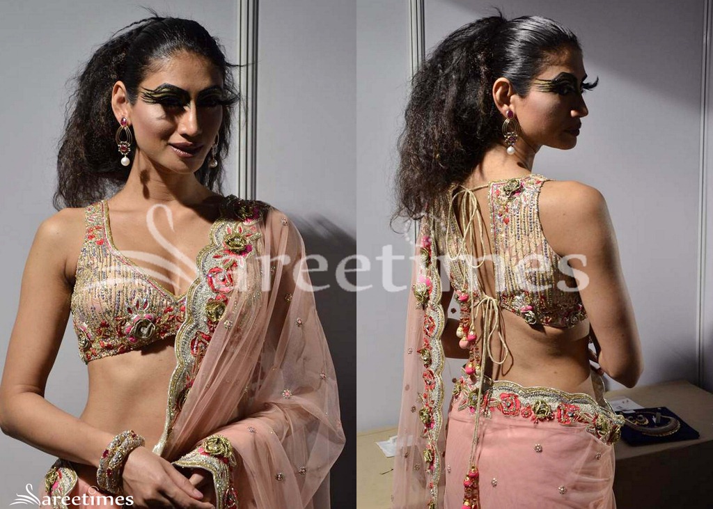 [Shane_and_Falguni_Peacock_Saree_Blouse_Designs%255B4%255D.jpg]