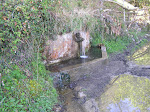 Fonte Gavalancera