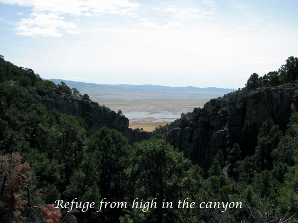Refuge from high in the canyon