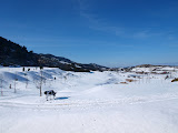 P1010932.JPG