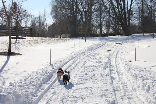 Let's high-tail it for home where it's cozy and warm and SAFE!!!