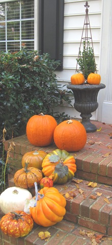 IMG_4505 IMG_4505