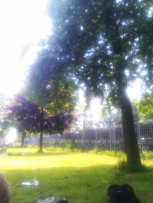 IMAG0617 IMAG0617