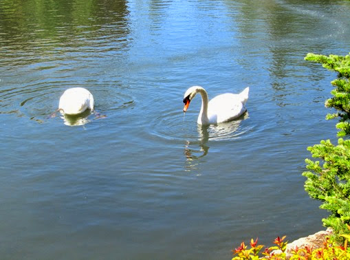 IMG_8639 IMG_8639