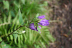 IMG_3834.JPG