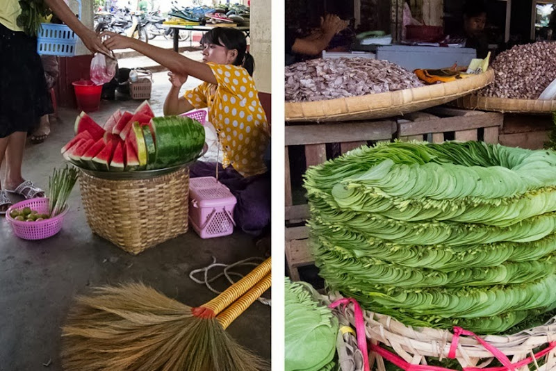 Watermelon & Betel Watermelon & Betel