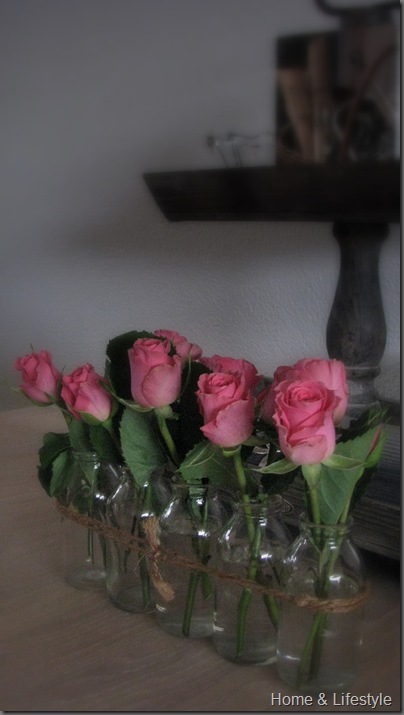 Home & Lifestyle Home & Lifestyle
