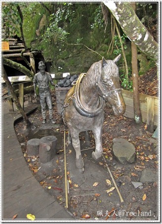 scenic world7