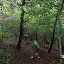 2011.10.09 Trail de Laxou (17)