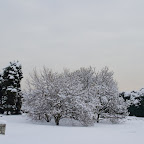 IMG_3979.jpg