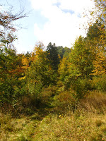 IMG_3577.JPG Photo