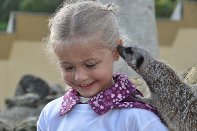 [BrookewithMeerkatResizedDSC_071929.jpg]